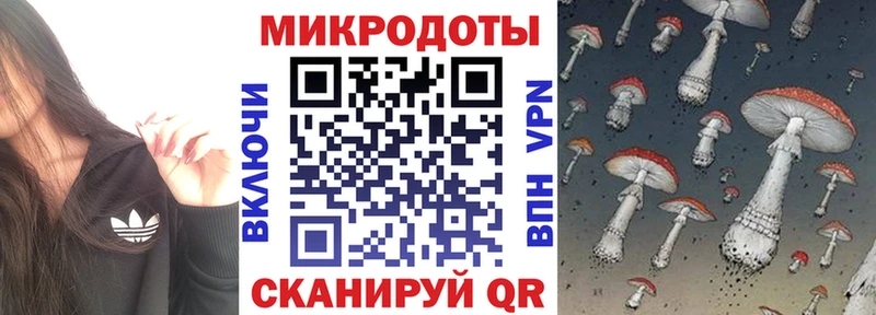 MEGA ССЫЛКА  Далматово  Псилоцибиновые грибы Cubensis 